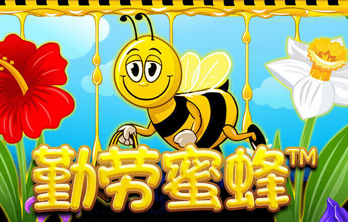4556银河国际在线